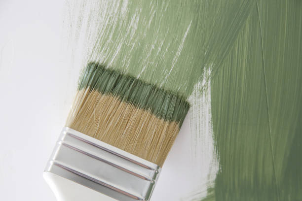 Best Emergency Mold Remediation  in Honea Path, SC