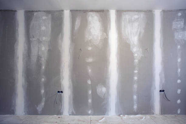 Best Mold Documentation for Insurance Claims  in Honea Path, SC